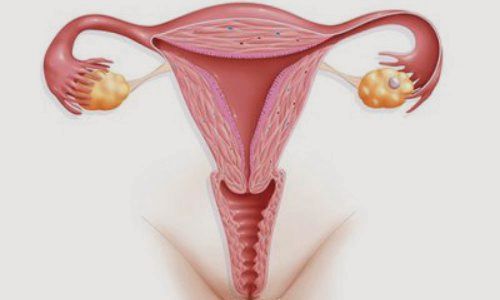 Uterin septum (rahim perdesi)